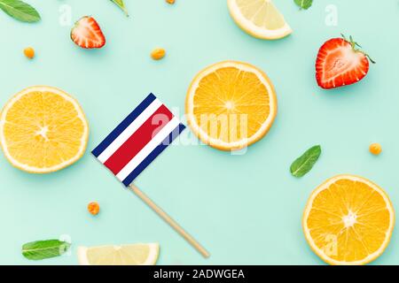 Costa Rica Paper Stick Flag. Concept national des fruits d'été, le marché des aliments locaux. Thème végétarien. Banque D'Images