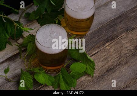 Deux verres de bière légère sur un fond gris en bois avec une branche de houblon. Festival de la bière. Banque D'Images