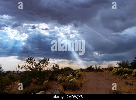 Rayons de soleil qui brille sur le sentier de randonnée du désert dans le Nord de Scottsdale AZ. Banque D'Images