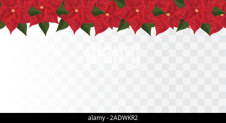 Poinsettia isolé sur fond transparent.Red Star de Noël. Icône vecteur. Poinsettia fleur avec feuille verte. Symboles de Noël. Belle Illustration de Vecteur