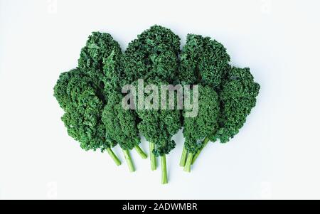 Mise en page créative faite de kale. Mise à plat. Concept alimentaire. Banque D'Images
