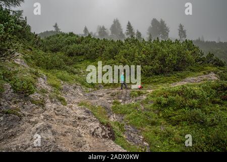 Les randonneurs dans les Alpes autrichiennes à pied sur les sentiers de randonnée de montagne dans les bois autour des lacs Banque D'Images