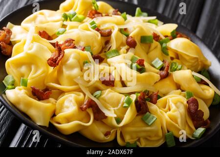 Tortelloni traditionnel italien avec du bacon, du fromage et d'oignons verts close-up dans une assiette sur la table horizontale. Banque D'Images