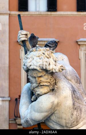 Pigeons communs sur Neptune statue à la place Navone à Rome, Italie Banque D'Images