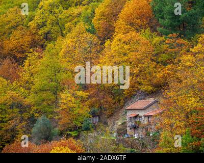 Maison entourée d'arbres isolés dans les montagnes campagne Banque D'Images