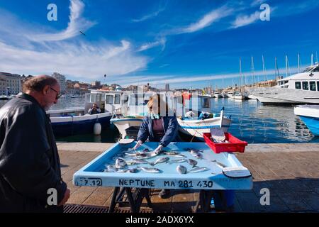 Femme vendant du poisson sur le vieux port de Marseille, France Banque D'Images