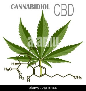 La formule de CBD de chanvre. Modèle structurel des molécules de cannabidiol et de tétrahydrocannabinol. Cannabis médicinal. Marijuana médicale, Vector Illustration de Vecteur