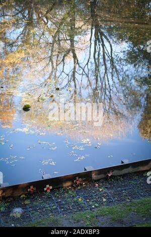 La piscine de la paix près de Messines, au sud d'Ypres en Belgique. La piscine est un vestige de la bataille de Messines - le plus gros cratère laissé par le célèbre Mi Banque D'Images