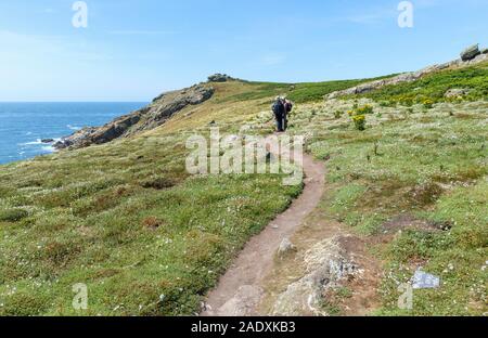 Sentier avec une vue sur la mer et les falaises sur l'île de Skomer, une réserve naturelle sur la côte ouest du pays de Galles de Pembrokeshire Banque D'Images