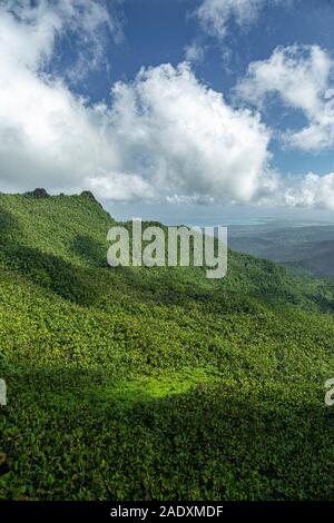 Vue aérienne de la forêt tropicale de Mt. Britton Tower, forêt nationale de El Yunque, Luquillo, Porto Rico Banque D'Images