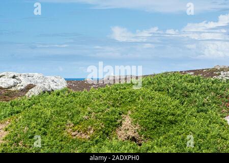 Round Island Lighthouse vu de Shipman Head Down, Bryher, Isles of Scilly Banque D'Images