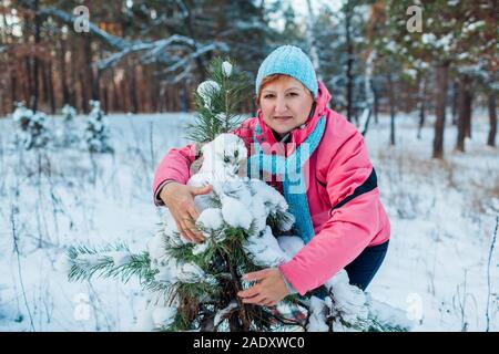 Promenade d'hiver. Senior woman hugging sapin en forêt bénéficiant d'un temps neigeux Banque D'Images