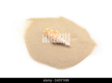 Sable blanc et Shell, tas de sable avec un coquillage isolé sur fond blanc, Vue du dessus pour les concepteurs d'Idées Banque D'Images