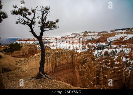 Sunset Point à Bryce Canyon, ut. USA. La roche rouge 'hoodoos' Création d'un mystérieux et mystique scenic wonderland. C'est une destination de renommée mondiale. Banque D'Images