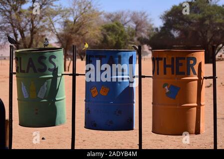 Close up de poubelles de recyclage avec des oiseaux en quête de nourriture au camping de Sesriem. La Namibie Banque D'Images