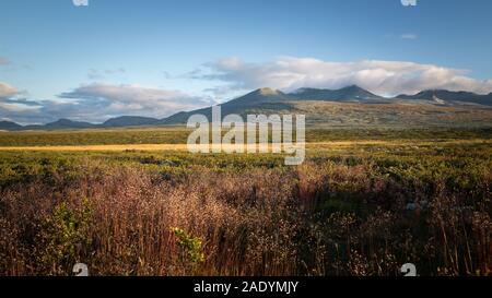 Tôt le matin, la lumière dans les montagnes Rondane, belles couleurs automnales et la météo. Parc national de Rondane, la Norvège. Banque D'Images