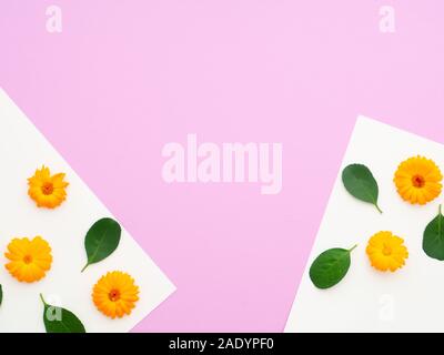 Printemps de l'arrière-plan ; des fleurs et feuilles vertes sur les livres blancs isolé sur fond rose. Composition de fleurs. Cadre fait de fleurs orange. Télévision Banque D'Images