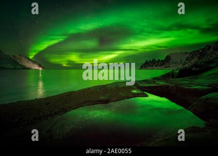 Plus Tugeneset Aurora côte rocheuse avec Okshornan montagnes en arrière-plan, Senja, Norvège Banque D'Images