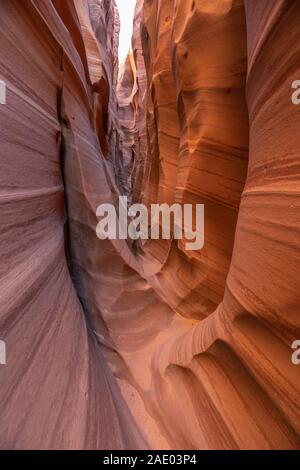 Logement Zebra Canyon au Grand Staircase Escalante National Monument. La fin de journée. Situé juste à côté de trou dans le Rock Road. Banque D'Images