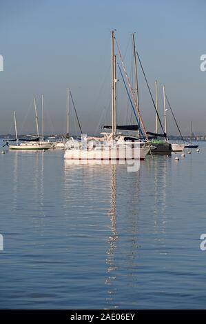 Key Biscayne, Floride - 30 novembre 2019 - Voiliers à l'ancre à Crandon Marina anchorage sur claire, calme journée d'hiver au lever du soleil. Banque D'Images