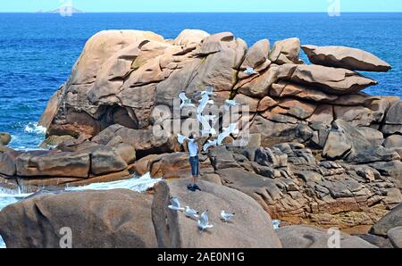 Homme seul nourrir les mouettes sur les rochers avec une belle mer bleue à l'arrière-plan, la Côte de Granit Rose ou Côte de Granit Rose, Bretagne, France Banque D'Images