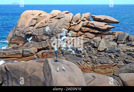 Homme seul nourrir les mouettes sur les rochers avec une belle mer bleue à l'arrière-plan, la Côte de Granit Rose ou Côte de Granit Rose, Bretagne, France Banque D'Images