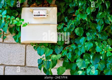 Compteur de gaz dans une maison sous le renouveau. Piscine compteur de gaz utilisé pour mesurer la consommation de gaz naturel dans les bâtiments maisons.compteur de gaz envahi de verdure. Banque D'Images