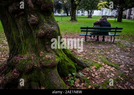 LUCCA, ITALIE - 24 NOVEMBRE 2019 : les amoureux de l'inconnu dans le parc de la Villa Bottini à Lucques Banque D'Images