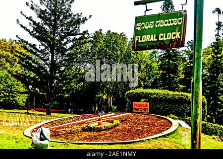 Dans l'horloge de fleurs Jardin Botanique Lalbagh, Bangalore, Bangalore, Karnataka, Inde, Asie Banque D'Images