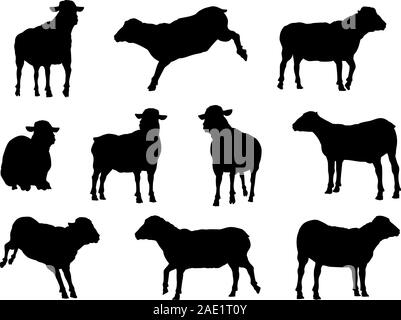 Ovins Les animaux de ferme en Silhouette Illustration de Vecteur