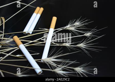 Nombre de cigarettes avec les oreilles d'herbe sèche sur un fond noir brillant. Banque D'Images