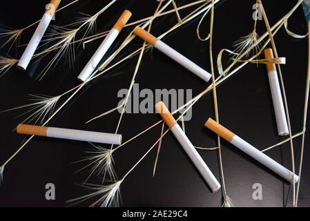 Nombre de cigarettes avec les oreilles d'herbe sèche sur un fond noir brillant. Banque D'Images