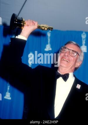 Los Angeles, Californie, USA 27 mars 1995 l'acteur Martin Landau assiste à la 67e annuelle des Academy Awards le 27 mars 1995 au Shrine Auditorium à Los Angeles, Californie, USA. Photo de Barry King/Alamy Stock Photo Banque D'Images