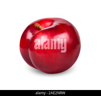 Prune rouge isolé sur blanc avec clipping path Banque D'Images