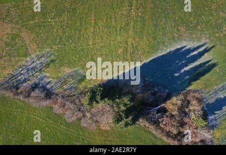 06 décembre 2019, la Bavière, Stötten : le reste de la gelée blanche se trouve à l'ombre d'une rangée d'arbres sur un pâturage (photographie aérienne avec un bourdon). Photo : Karl-Josef Opim/dpa Banque D'Images