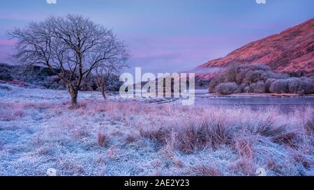 Un matin d'hiver glacial et froid avec brouillard dérive sur Loch Awe dans les Highlands écossais en attente pour le soleil se lève Banque D'Images