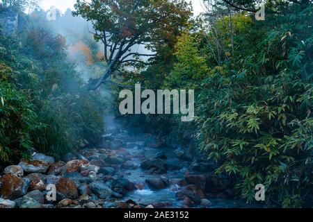 Matin vue sur le ruisseau de Tamagawa Hot Spring avec le débit des cours d'eau sur la zone à l'automne saison . Sex Tamagawa pring est à Towada Kamaishi Nationa Banque D'Images