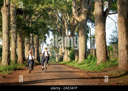 Ville de Pleiku, province de Gia Lai, au Vietnam - 11 septembre 2019 : les enfants faire du vélo à l'école sur la route avec deux rangées de pins qui ont été plantés près de Banque D'Images