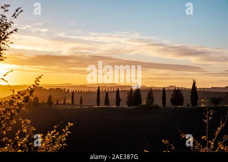 Toscana cypress silhouette dans la soirée Sunset Sky Pienza Paysage Italie Banque D'Images