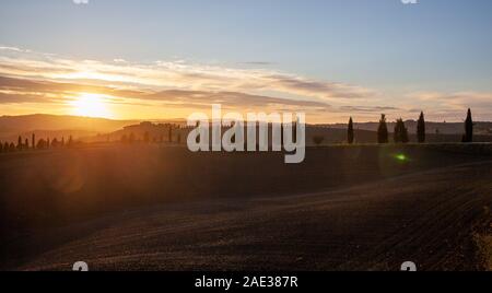 Toscana cypress silhouette dans la soirée Sunset Sky Pienza Paysage Italie Banque D'Images