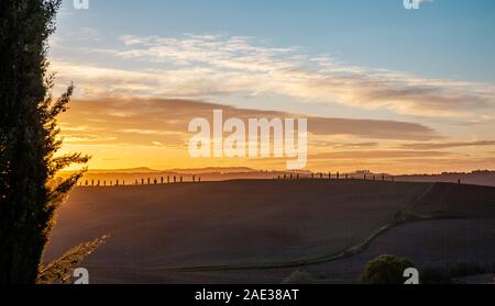 Toscana cypress silhouette dans la soirée Sunset Sky Pienza Paysage Italie Banque D'Images