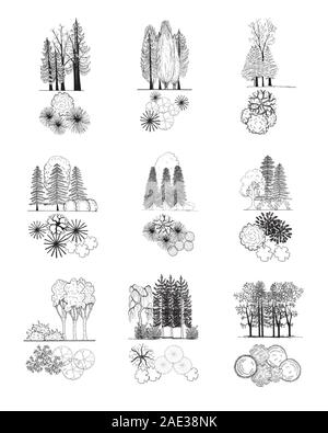 La cime des arbres et des symboles, vector set pour l'architecture ou la conception de paysage Illustration de Vecteur