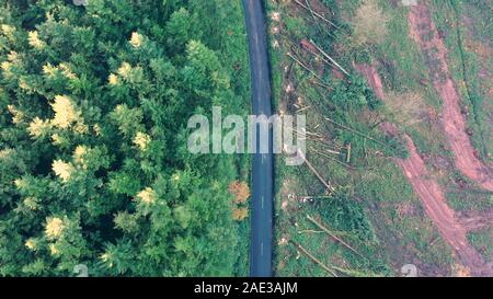 Vue aérienne d'une route à travers une forêt qui a été détruit par la déforestation Banque D'Images