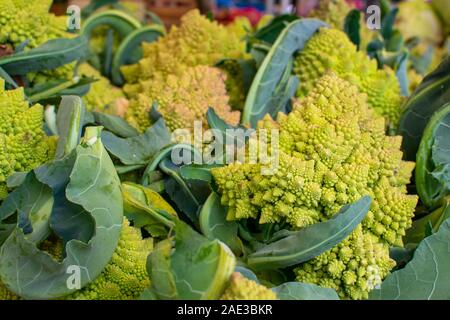 Le brocoli à funky, connu comme le brocoli Romanesco, à un étal dans un marché local et l'agriculteur biologique. Banque D'Images