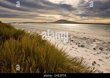 Four Mile Beach et Elephant Bay à Pebble Island dans les îles Falkland (Malouines). Banque D'Images