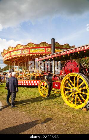 Vintage carousal à vapeur avec dadas étant entraînée par un moteur de traction à vapeur d'époque au Malpas Cheshire rallye d'antan Banque D'Images