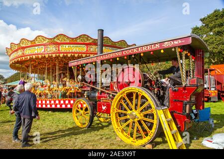Vintage carousal à vapeur avec dadas étant entraînée par un moteur de traction à vapeur d'époque au Malpas Cheshire rallye d'antan Banque D'Images