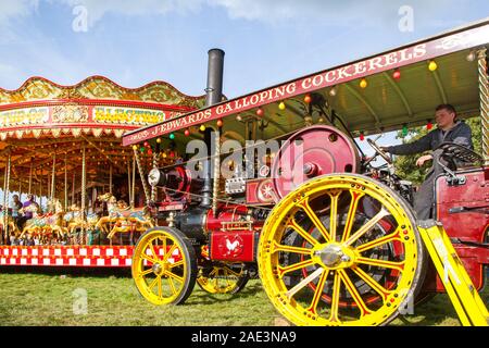 Vintage carousal à vapeur avec dadas étant entraînée par un moteur de traction à vapeur d'époque au Malpas Cheshire rallye d'antan Banque D'Images