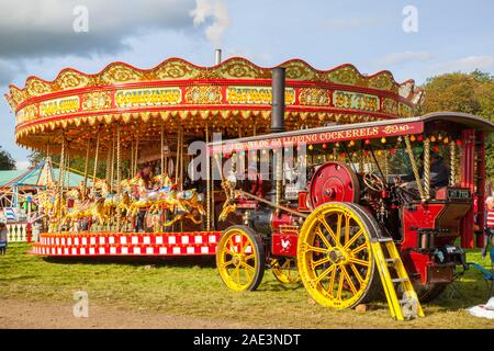 Vintage carousal à vapeur avec dadas étant entraînée par un moteur de traction à vapeur d'époque au Malpas Cheshire rallye d'antan Banque D'Images