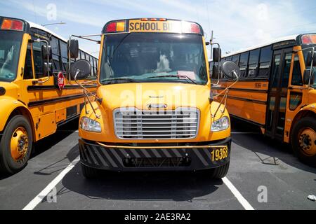 Rangée de Thomas Built Buses type c thomas saf-t-liner c2 des autobus scolaires jaunes kissimmee florida usa Banque D'Images